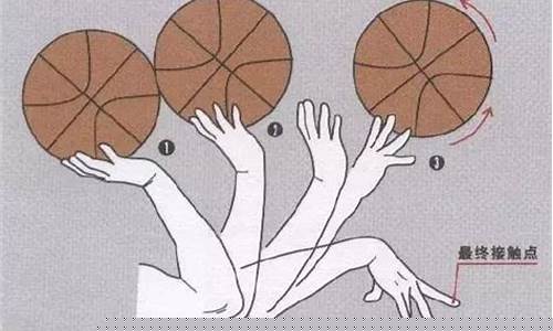 拍篮球手部动作-拍篮球时手掌接触部位
