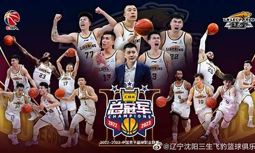 cba历年战绩排名-cba联赛历届比赛成绩