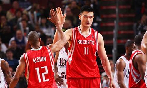 姚明的季后赛-姚明nba季后赛经历