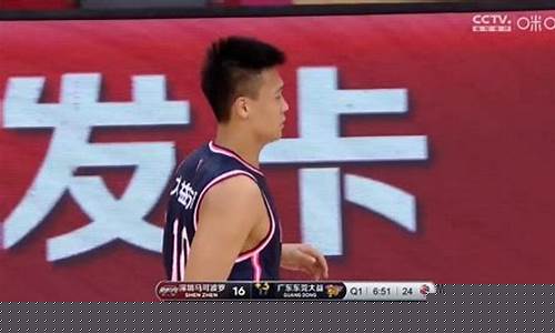 篮球世界杯波兰VS捷克-篮球世界杯波兰捷克第四节