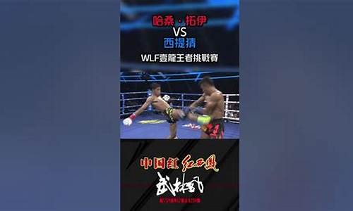 西提猜vs一龙对阵表-西提猜ko一龙