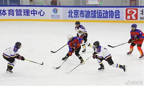 北京奥运会冰球比赛-奥运会冰球比赛时间