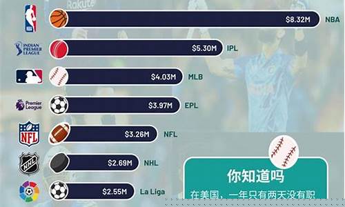 最新足球职业联赛排行-足球知名联赛