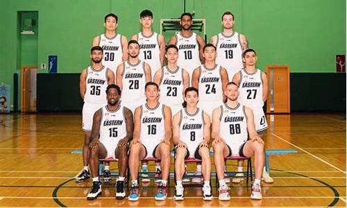 新加坡国家男子篮球队-新加坡职业篮球联赛