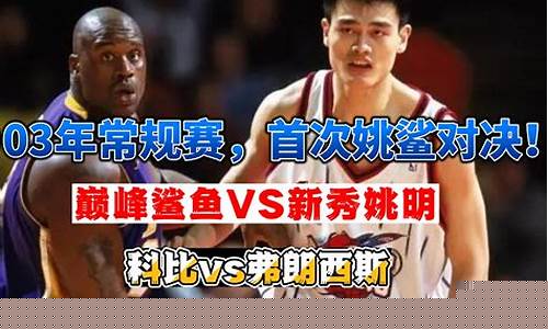 奥登nba首秀视频集锦-09季后赛奥登vs姚明