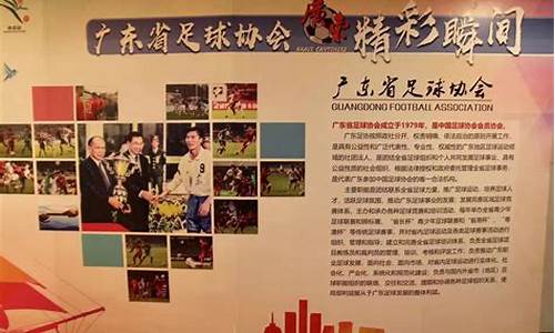 广东省超级足球联赛顺德顺商足球俱乐部报名名单-广东省超级足球联赛