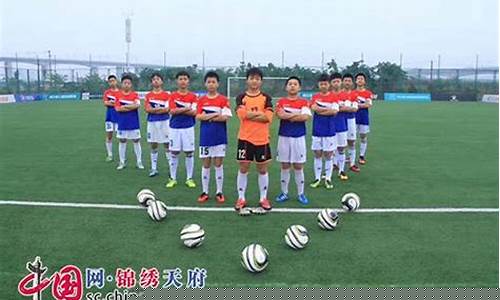 成都市青少年足球选拔性联赛-成都全国青少年足球联赛