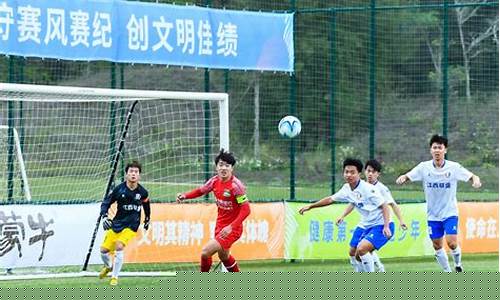 瑞典甲联赛积分榜2019-瑞典甲组联赛u19赛果