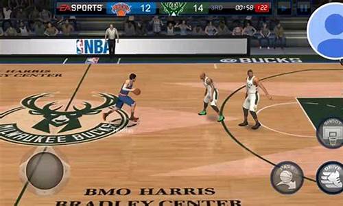 我的NBA篮球偶像-我的篮球偶像作文800字