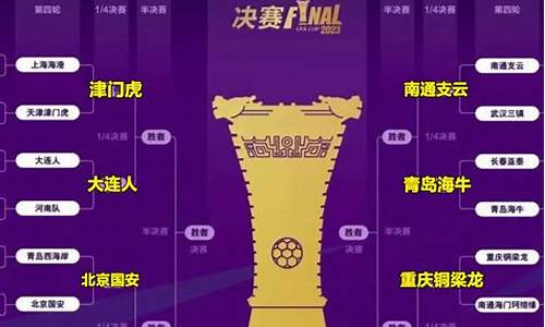 中国足协杯对阵表-中国足协杯最新战况