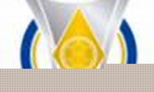 巴西甲组联赛球队排名-足球巴西甲级联赛排名