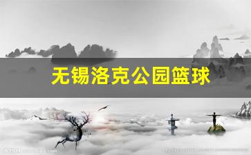 无锡洛克公园篮球-无锡洛克公园篮球场收费吗