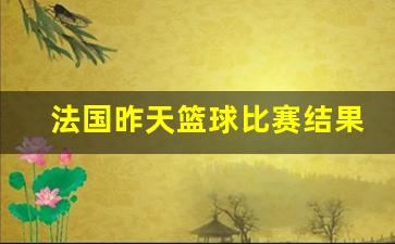法国昨天篮球比赛结果查询-法国昨天篮球比赛结果