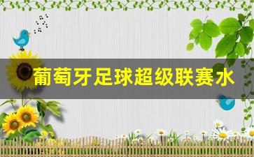 葡萄牙足球超级联赛水平排名-葡萄牙足球超级联赛水平