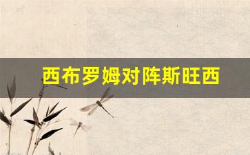 西布罗姆对阵斯旺西-西布罗姆对曼联