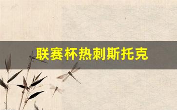热刺联赛杯斯托克城-联赛杯热刺斯托克