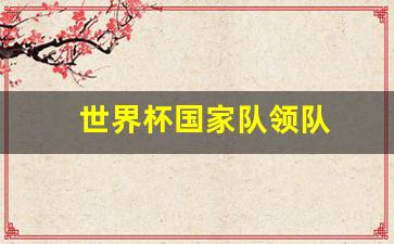 足球世界杯国家队-世界杯国家队领队