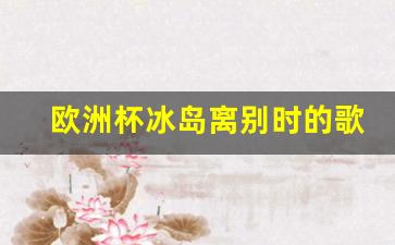 欧洲杯冰岛离别时的歌-2020冰岛欧洲杯