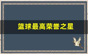 篮球最高荣誉之星-篮球比赛最高荣誉