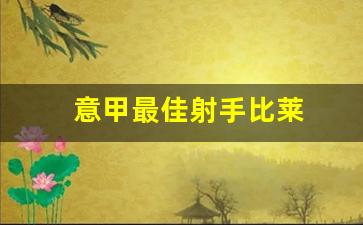意甲最佳射手比莱-意甲最佳射手纪录