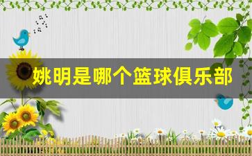 姚明是什么球队-姚明是哪个篮球俱乐部的
