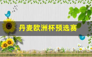 丹麦欧洲杯预选赛-丹麦欧洲杯比赛