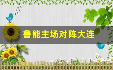鲁能主场对阵大连-山东鲁能对大连人