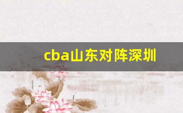 cba山东对阵深圳-cba山东对深圳录像