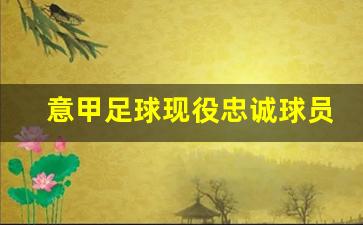 意甲足球现役忠诚球员-意甲足球明星