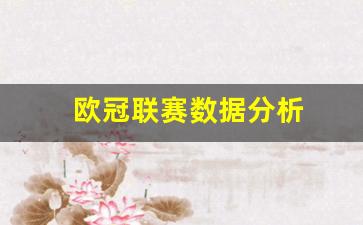 欧冠各联赛排名-欧冠联赛数据分析