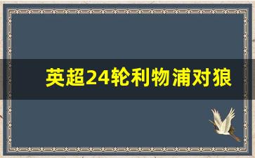 英超24轮利物浦对狼队-利物浦对狼队比分结果多少