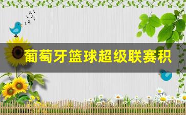 葡萄牙篮球超级联赛积分-葡萄牙超级联赛2