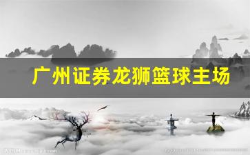 广州证券龙狮篮球主场-广州龙狮篮球队