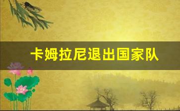 卡姆拉尼退出国家队-卡姆还会回归吗