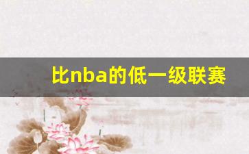 比nba的低一级联赛是什么-比nba的低