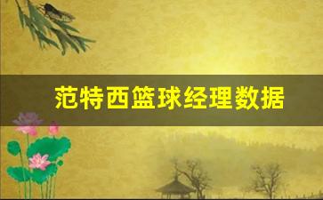 范特西篮球经理数据-范特西篮球经理同队加