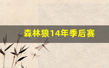 森林狼14年季后赛-森林狼14年阵容