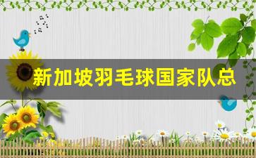 新加坡羽毛球国家队总教练是谁-新加坡羽毛