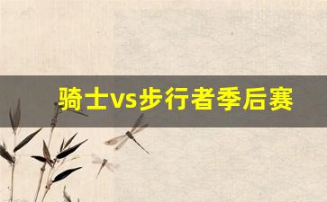 骑士vs步行者季后赛2-骑士vs步行者季