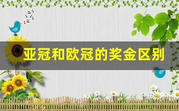 亚冠和欧冠的奖金区别-亚冠与欧冠
