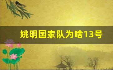 姚明国家队为啥13号-姚明国家队总得分